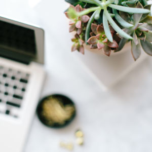 laptop, plant on desk