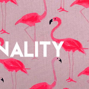 pink flamingo pattern with words Brand Personality in front