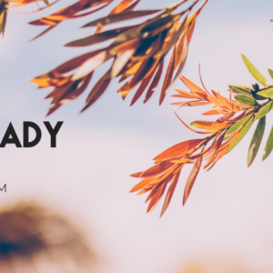 photo of leaves with the words Get Ready for 2021